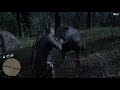 Red Dead Redemption 2 The Cougar & The Bear