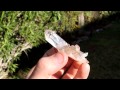 Best Find Of The Week: California Quartz Cluster