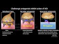 Cholinergic Drugs - Pharmacology, Animation