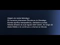 Cinematic Drone Footage - Spark, Canon 80D - Rio Mondego, Portugal