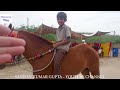 मस्तराम छोटू सवार  - पार्ट 55 Balotra Horse Market 2024 Tilwada Pashu Mela Horse Sale Price Video