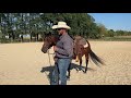 Problem horse: Bucking                             Part- 3 of 3