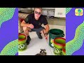 Man Rescues Snakes From Dog's Mouth And Other Weird Places! | Dodo Kids | Rescued!