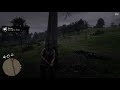 Red Dead Redemption 2_20181202105410