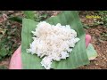 Miniature how to cook rice easy | Mini Cooking | Mini Food | Mini Foodies | Mini Foodkey