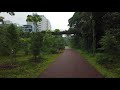 A Beautiful Rain Walk in The Lush Rainforests of Nostalgic Singapore : Rail Corridor : Rain ASMR