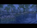 Storm Outside Mournhold || Rain & Thunder Sounds with Music || Elder Scrolls Gamescape || Rainy Jane