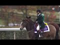 Breeders' Cup 2022: Classic (FULL RACE) | NBC Sports