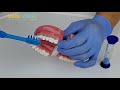 How to Brush with Braces Tips and Tricks