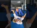 Stack Pass vs De La Riva! #bjj #jiujitsu #bjjvideos #bjjlifestyle #bjjlife #jiujitsulifestyle