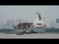 4K Shipspotting Rusty Bow Of Container Ship