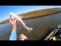 This Galveston roadside waterway was LOADED with big fish! (S7 E28)