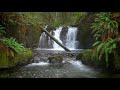 The Forest Waterfall HD - The Calming Sound of Water