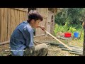 Cut bamboo to build a fence around the garden. My daily life | Bình - Building new life