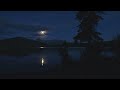 Relaxing sleep music - Stress Reliever Music - Brain relaxation songs and Share insomnia