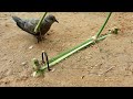 Easy Simple How To Put Dove Trap Using Bamboo Work 100%