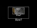 rat cave lore [Skyblock Meme]
