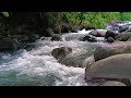 1 Relaxing Hour The Sound of Beautiful River Water Flowing Soothes the Mind, Deep Sleep, Meditation