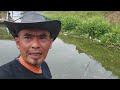 Mancing Pinggiran di Spot Belakang Rakit Mang Adis Cipalahar Ubrug Jatiluhur
