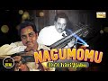 Nagumomu - Veena Version | Dr. Chitti Babu | Abheri Ragam | Thyagaraja Carnatic Instrumental Song