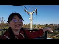 San Diego Zoo Skyfari Aerial Tram Ride & Bus Tour ✨ Vlog