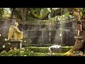 Enchanted Water Fountain Ambience 🐱☕📚🌼 | Healing Spring/Summer & Water Fountain Sounds