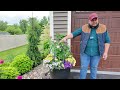 Mid June Garden Check In ⭐️ Container and Rose Update ⭐️ New Perennials