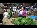 Vegetable Garden Harvest, Ginger go to market sell | Gardening