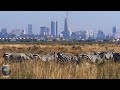 Nairobi, Capital of Kenya-Green City in The Sun-4K Drone Video| World in 4K