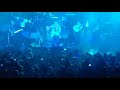 Modest mouse - the world at large (live)