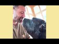 We had the honor of rescuing five beautiful, strong Cane Corso mixes | The Asher House