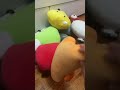 Alphabet lore plushies episode 7 part 2 the new plushies are here