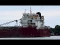 Thunder Bay Freighter Sailing Upriver With Salute 6-28-24