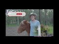 Part 1 How To: Horse Rug Training 🐴Australian Horse Training