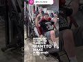 Rare 1st Generation Panatta Hack Squat