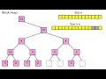 Explaining EVERY Sorting Algorithm:  Variants and Hybrids