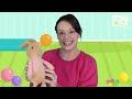 Talking Time For Toddlers & Babies With Miss Katie - First Words & Sounds 🚂🐒 + Nursery Rhymes
