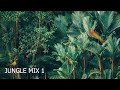 JUNGLE MIX1