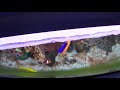 Juwel Vision 260 Panorama Marine Fish Tank