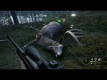 theHunter  Call of the Wild Perfect 1000 Diamond Whitetail