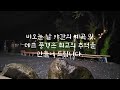 계곡친구 팬션 제천봉양 계곡