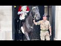 Incredible Horse Rescue: Royal Guard's Unforgettable Act of Heroism