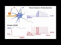 Synaptic Plasticity