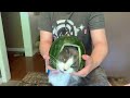Pewdiepie Cocomelon Intro With My Cat: Coco!