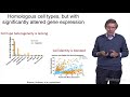 Arnold Kriegstein (UCSF) 2: Cerebral Organoids: Models of Human Brain Disease and Evolution