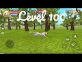 Wildcraft: Level 1 To 100 (Cheetah) From Baby to Adult