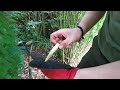 How To Stop Established Bamboo Spreading | No Root Barrier