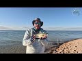 ⛱️ BEACH FISHING Yorke Peninsula 🎣 with BAITS and LURES