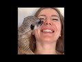 AWW Animals SOO Cute! Cute baby animals Videos Compilation cute moment of the animals #3