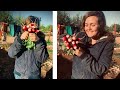 PERMACULTURE FOOD FOREST |  Secret Garden in Morocco | EP 1